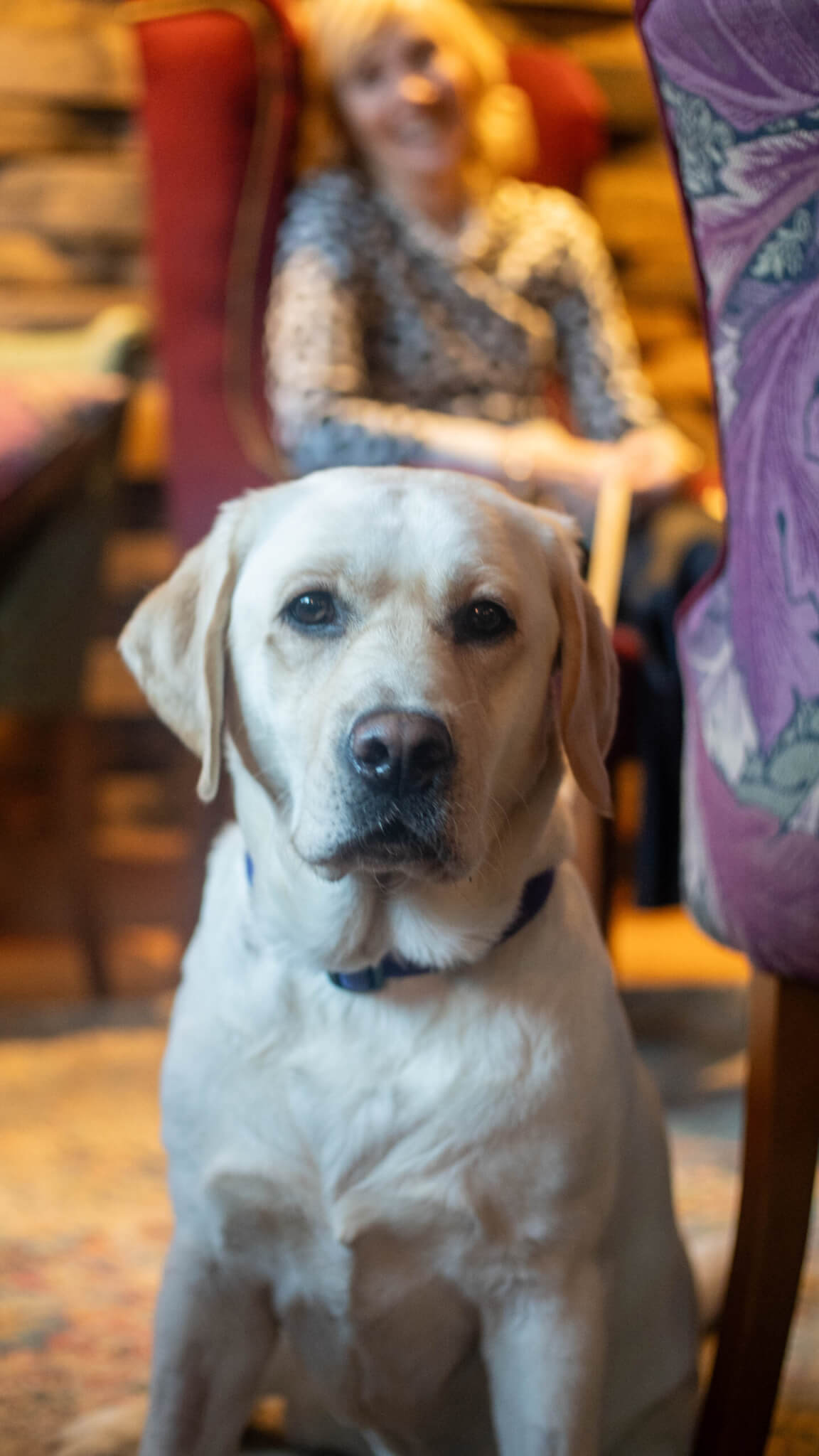 independent pub dorchester on thames about scaled